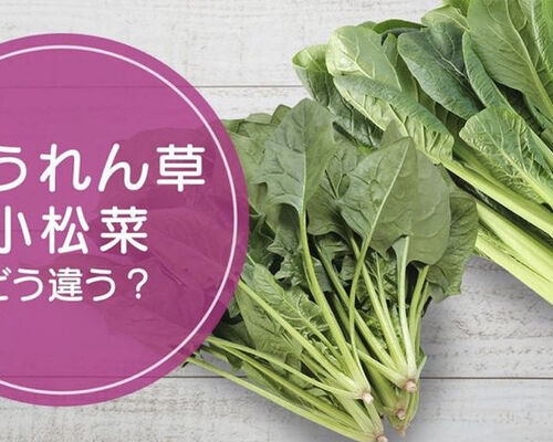 小松菜とほうれん草