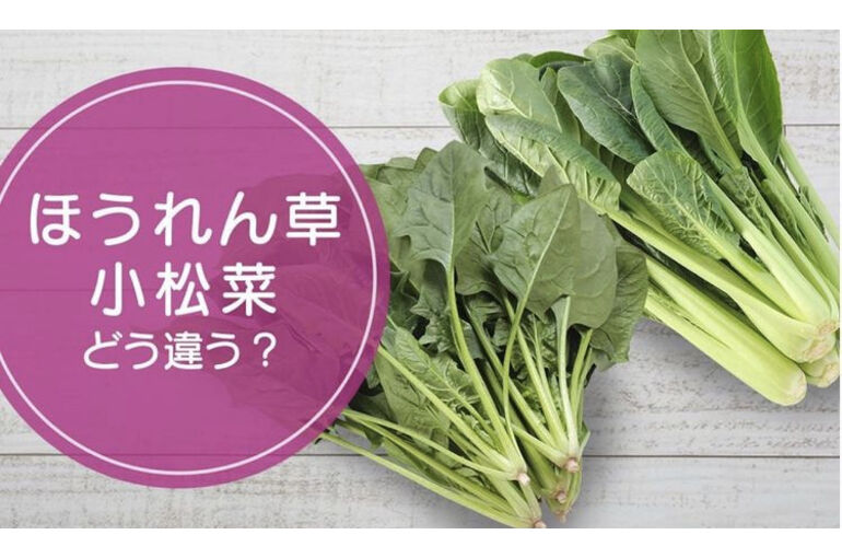 小松菜とほうれん草