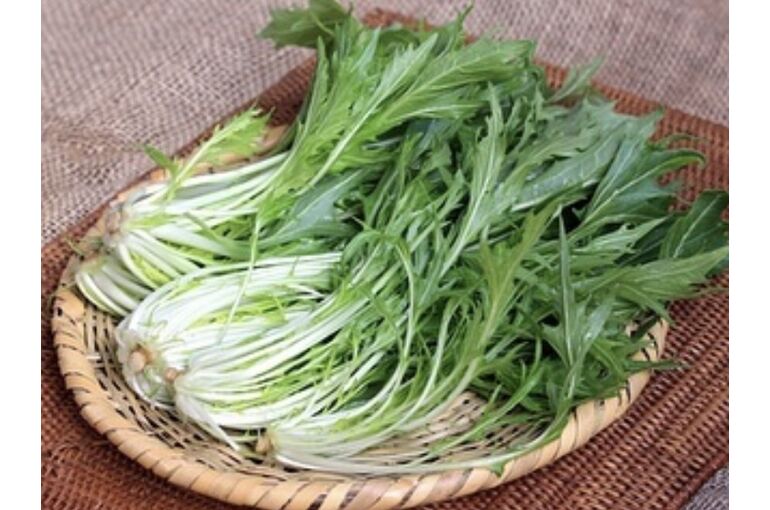 緑黄色野菜