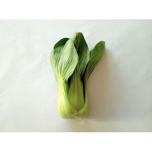 antioxidant-carrot-diet-dieting